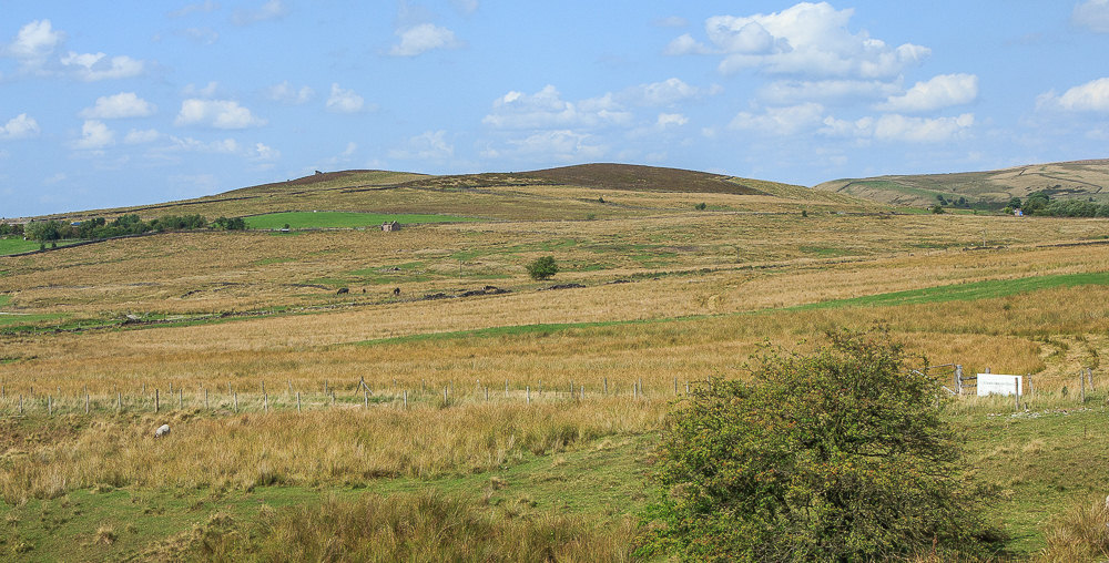Goldsitch Moss